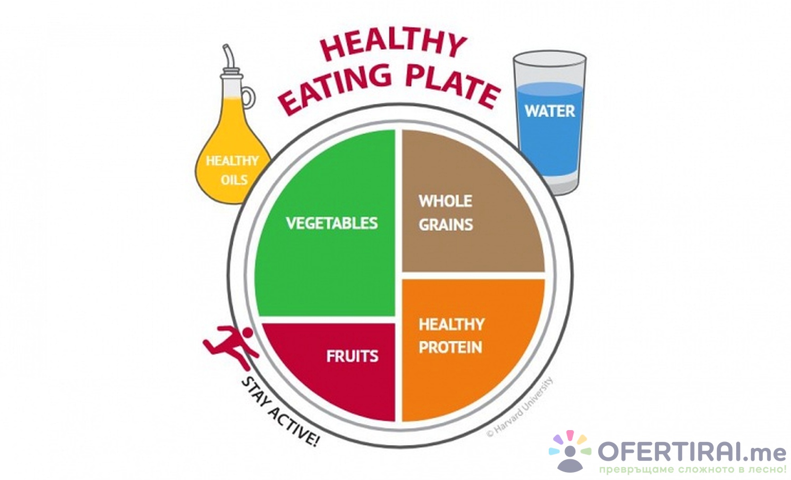 Diet Plan