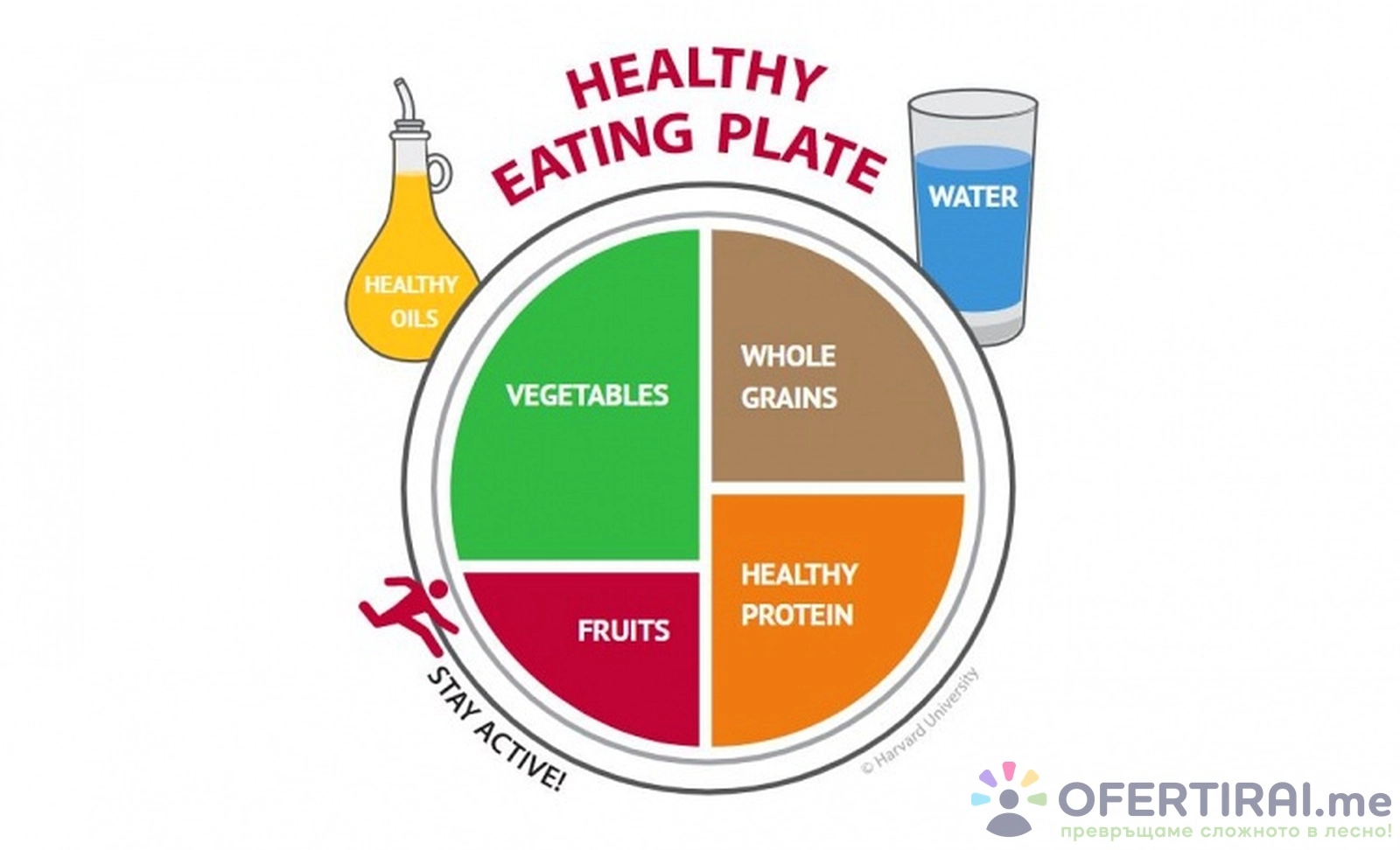 Diet Plan