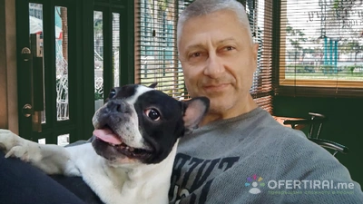 Хотел за кучета - Игри на воля - Image 2