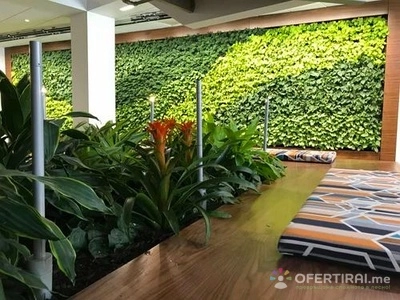 Интериорно озеленяване 
