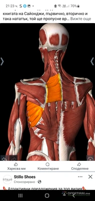 Изображение на специалиста