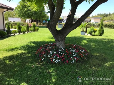 Picasso Gardens