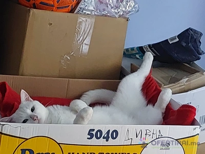 Изображение на специалиста