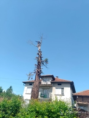 Алпинист/Арборист