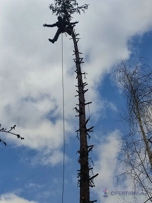 Алпинист/Арборист