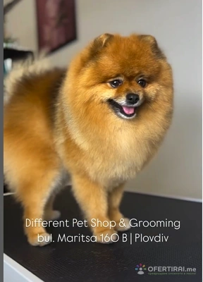 Груминг услуги Груминг услуги - Image 1