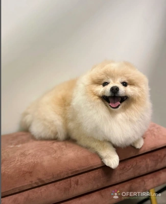 Изображение на специалиста