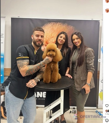 Груминг услуги Груминг услуги - Image 4