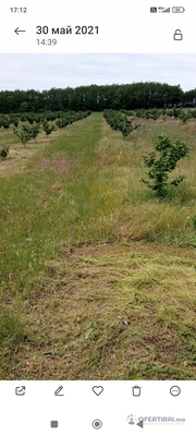 Изображение на доставчика