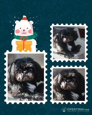 Изображение на специалиста