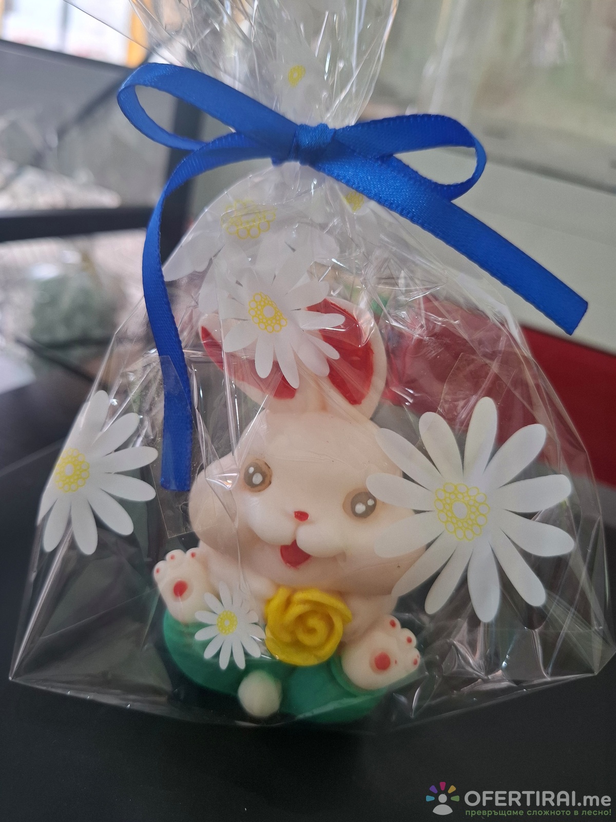 Главно изображение на портфолио