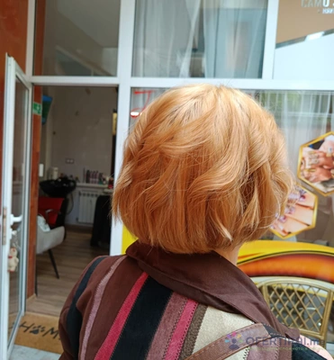 Изображение на доставчика