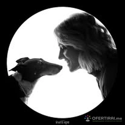 „Силует и Връзката“ – Артистична фотосесия