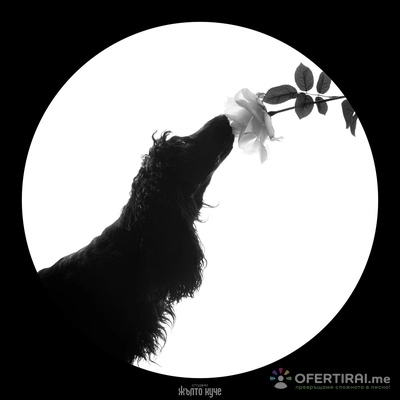 „Силует и Връзката“ – Артистична фотосесия