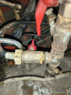 0889469362 0889469362 - Image 3