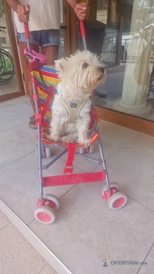 Изображение на специалиста