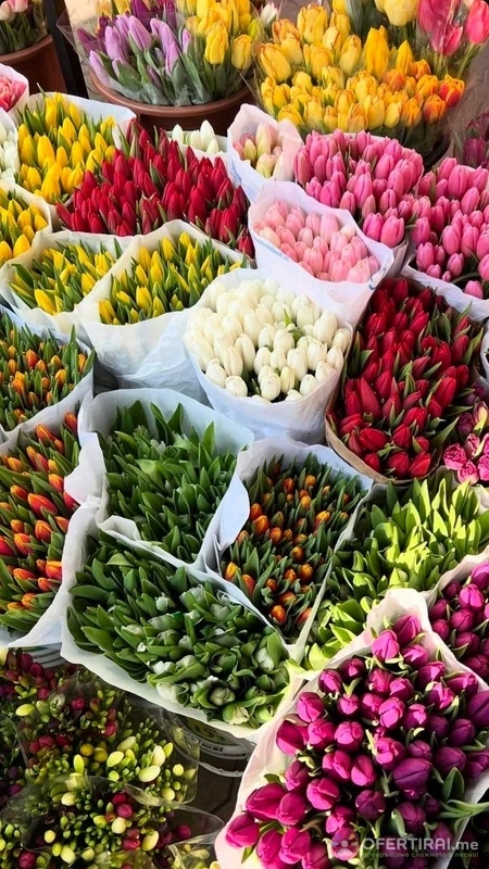 Lafleur.Bg