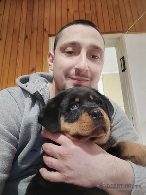 Изображение на доставчика