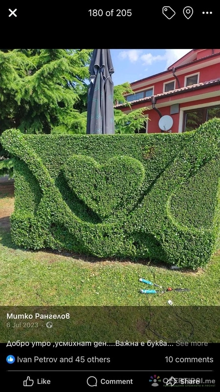 Picasso Gardens