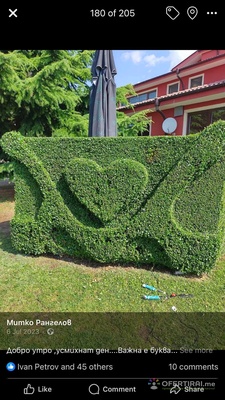 Picasso Gardens | Профилна снимка