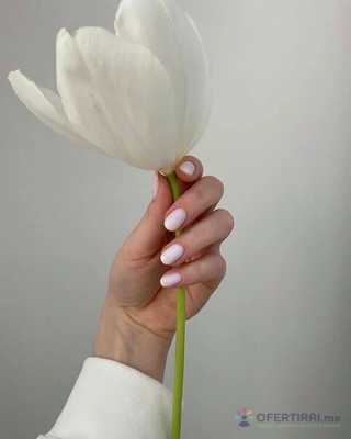 Изображение на доставчика