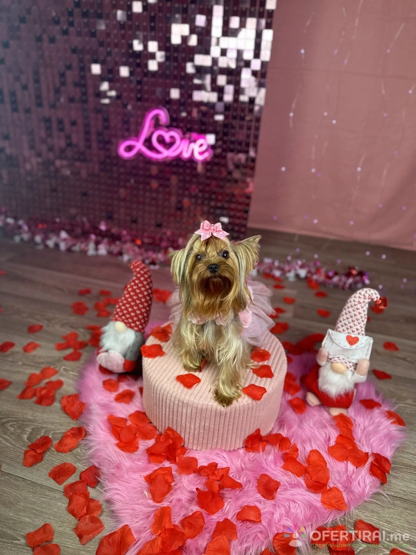 Изображение на специалиста