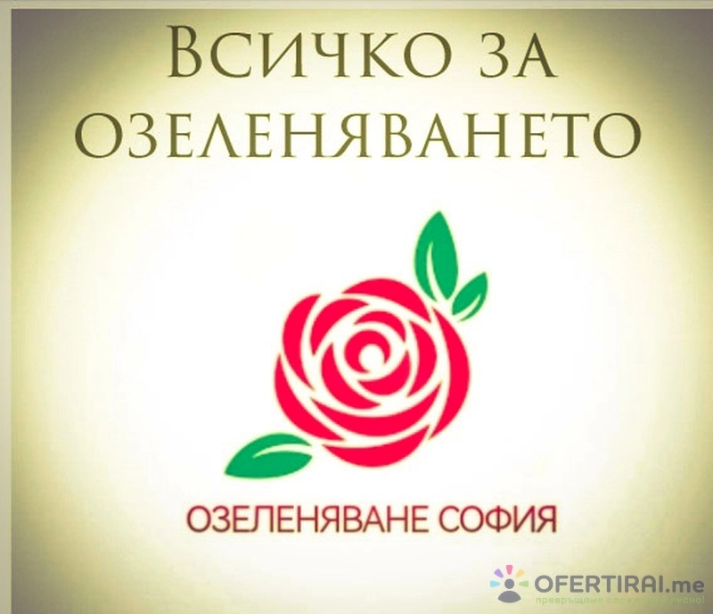 Изображение на доставчика